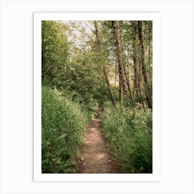 Mellow Trail Art Print