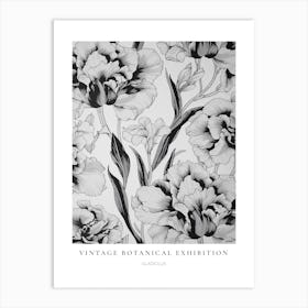Gladiolus B&W Vintage Botanical Poster Art Print