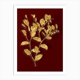 Vintage Andromeda Axillaris Bloom Botanical in Gold on Red Art Print