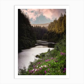 Redwood National Park River and Flowers Art Print