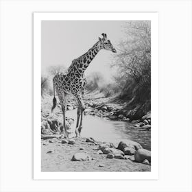 Giraffe In The River Pencil Drawing 3 Art Print