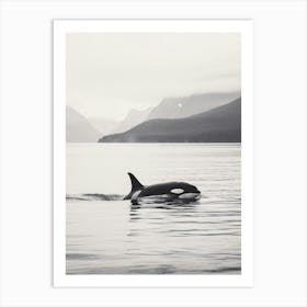 Tranquil Ocean And Orca Whale Black & White Photography 1 Art Print