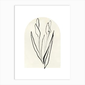 Irises Art Print