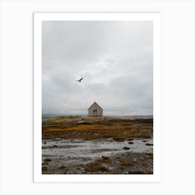 Bird Flying High Over The Norwegian Coastline Art Print