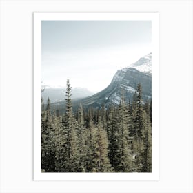 Montana Mountain Forest Art Print