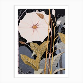 Flower Illustration Moonflower 1 Art Print