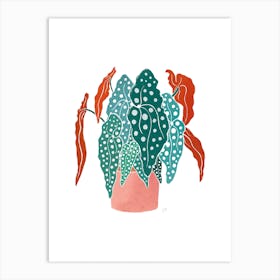 Begonia Art Print