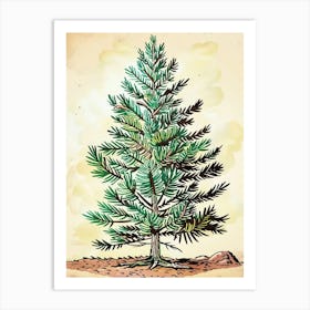 Douglas Fir Tree Storybook Illustration 3 Art Print
