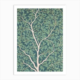 Elm tree Vintage Botanical Art Print