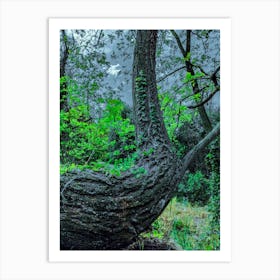 Twisted Tree 20230423124217rt1pub Art Print