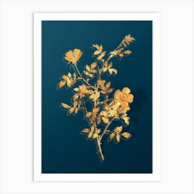 Vintage Pink Hedge Rose in Bloom Botanical in Gold on Teal Blue n.0116 Art Print