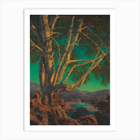 Tree At Night Art Print