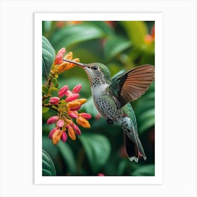 Hummingbird Art Print