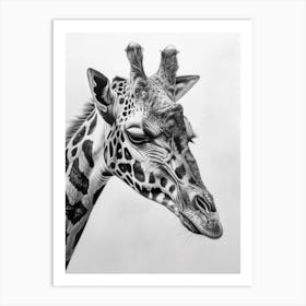 Giraffe Grey Pencil Drawing 1 Art Print
