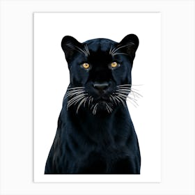 Black Panther 2 Art Print