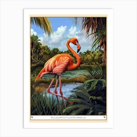 Greater Flamingo Rio Lagartos Yucatan Mexico Tropical Illustration 2 Poster Art Print