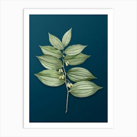 Vintage King Solomon's Seal Botanical Art on Teal Blue n.0324 Art Print