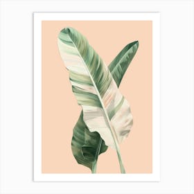 Banana Leaf 19 Art Print