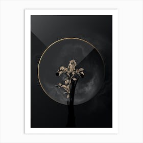 Shadowy Vintage Iris Persica Botanical in Black and Gold Art Print