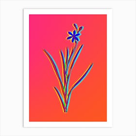 Neon Ixia Anemonae Flora Botanical in Hot Pink and Electric Blue n.0153 Art Print
