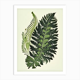 Walking Fern 1 Vintage Botanical Poster Art Print