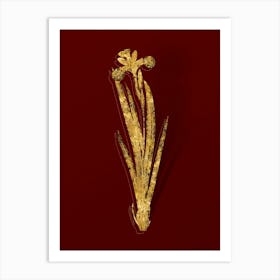 Vintage Harlequin Blueflag Botanical in Gold on Red n.0232 Art Print