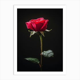 Single Red Rose On Black Background 29 Art Print