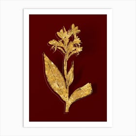 Vintage Water Canna Botanical in Gold on Red Art Print