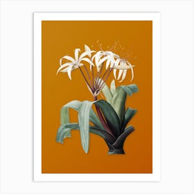 Vintage Crinum Erubescens Botanical on Sunset Orange n.0682 Art Print