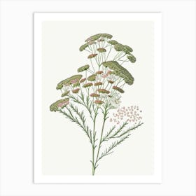 Yarrow Floral Quentin Blake Inspired Illustration 2 Flower Art Print