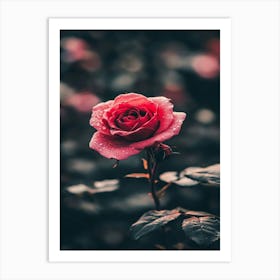 Rose Wallpaper 9 Art Print