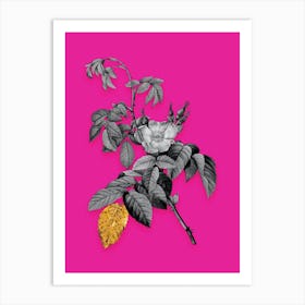 Vintage Apple Rose Black and White Gold Leaf Floral Art on Hot Pink n.0670 Art Print