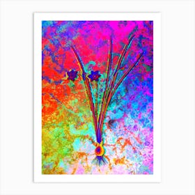 Daffodil Botanical in Acid Neon Pink Green and Blue n.0131 Art Print