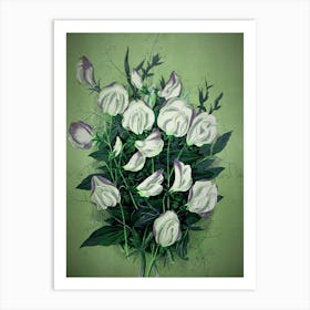 White Lilies Art Print