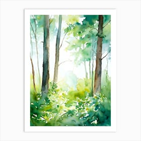 Watercolor Of A Forest 6 Art Print