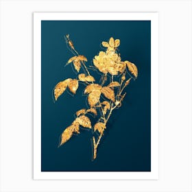 Vintage White Bengal Rose Botanical in Gold on Teal Blue n.0149 Art Print