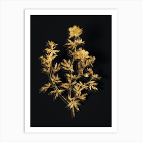 Vintage Yellow Buttercup Flowers Botanical in Gold on Black n.0230 Art Print