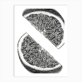 Black and White Citrus Fruit Illustration-Orange Slices Artwork Póster