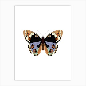 American Lady Butterfly Art Print