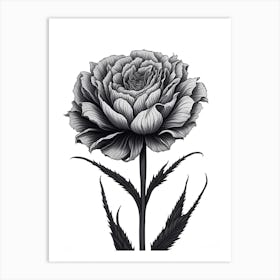 A Carnation In Black White Line Art Vertical Composition 22 Art Print