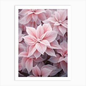 Frosty Botanical Poinsettia 4 Art Print