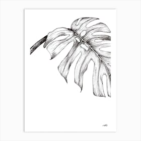 Black and White Monsteria Leaf Right Art Print