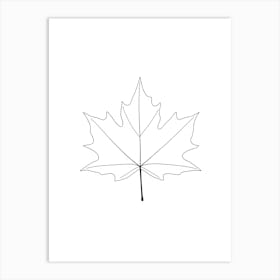 Maple Leaf Póster