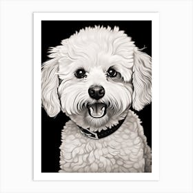 Bichon Frise Dog, Line Drawing 3 Art Print