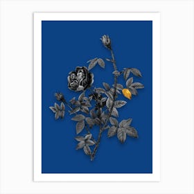 Vintage Moss Rose Black and White Gold Leaf Floral Art on Midnight Blue n.0503 Art Print