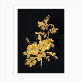 Vintage Yellow Sweetbriar Roses Botanical in Gold on Black n.0492 Art Print