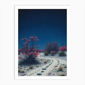 Path In The Desert Art Print