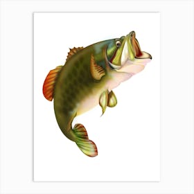 Largemouth Bass 1 Art Print