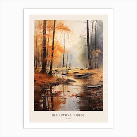 Autumn Forest Landscape Bialowieza Forest Poland 3 Poster Art Print