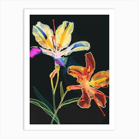 Neon Flowers On Black Portulaca 2 Art Print